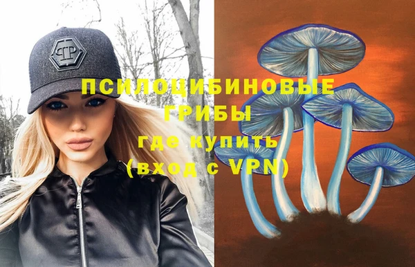 эйфоретик Новокубанск
