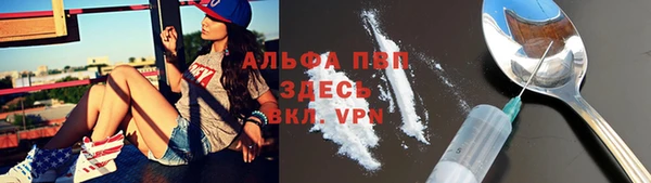 эйфоретик Новокубанск