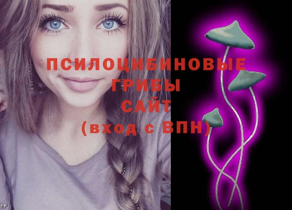 эйфоретик Новокубанск