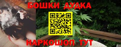 крисы Севастополь