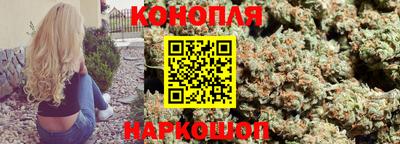 крисы Севастополь