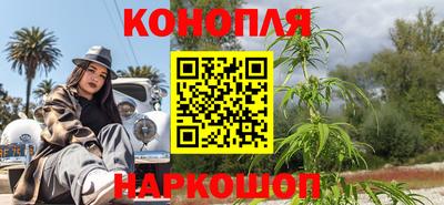 крисы Севастополь