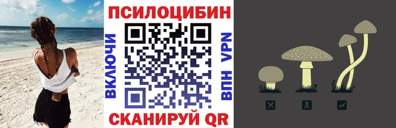 мориарти клад  Североморск  Псилоцибиновые грибы Psilocybine cubensis  купить  