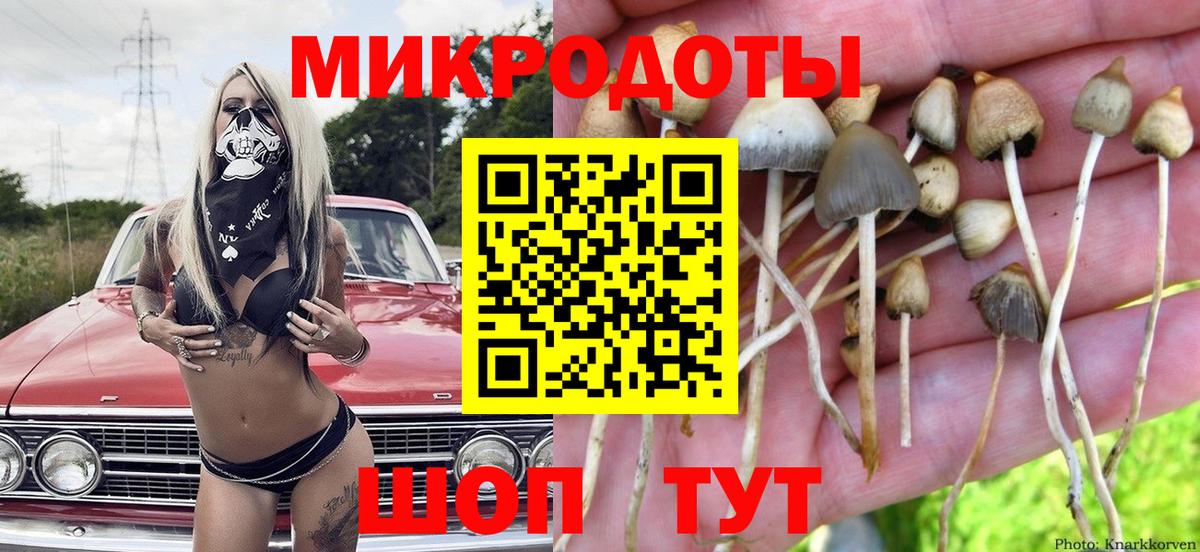 Галлюциногенные грибы ЛСД Североморск
