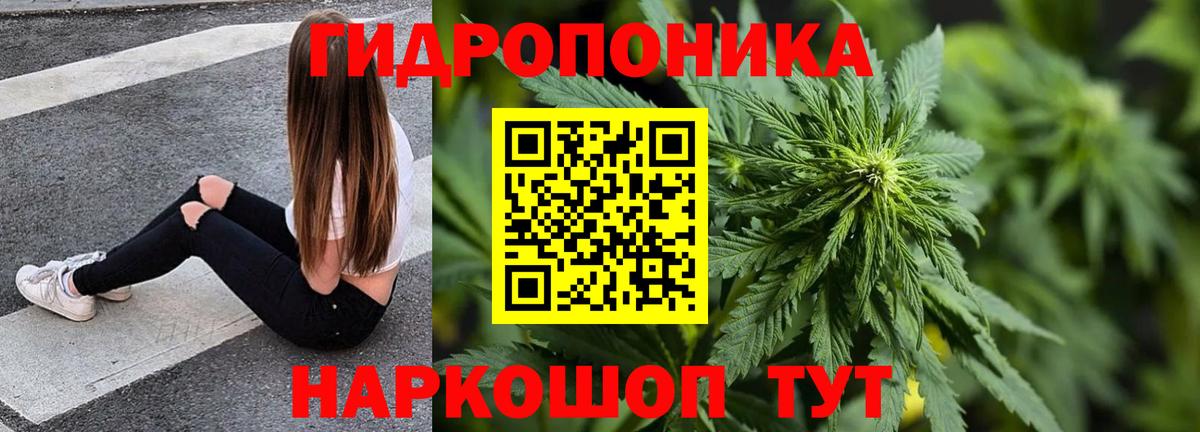 Бошки марихуана SATIVA & INDICA  Каннабис SATIVA & INDICA  Вход с VPN  Канабис Amnesia  Североморск 